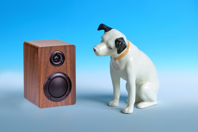 音楽を聴く犬